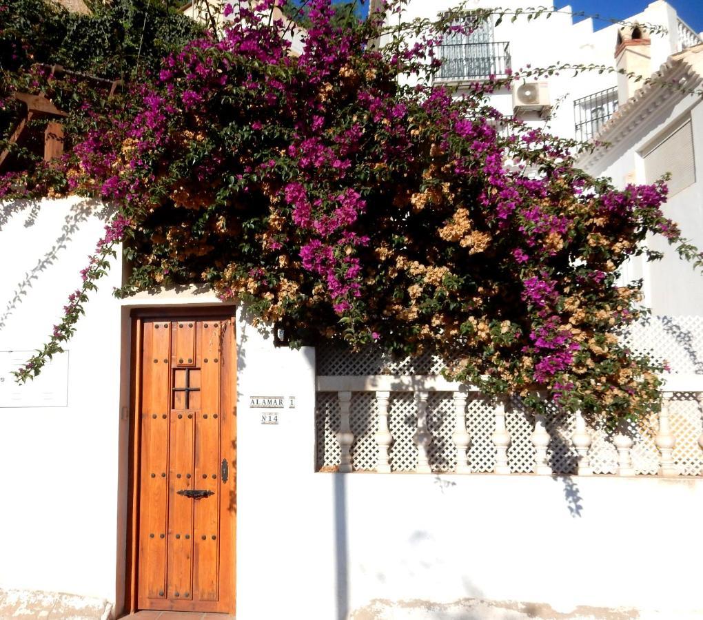 Beach Villa ,Nerja, Seaview, Pool, 3 Bedrooms, Huge Terrace And Garden Exterior photo